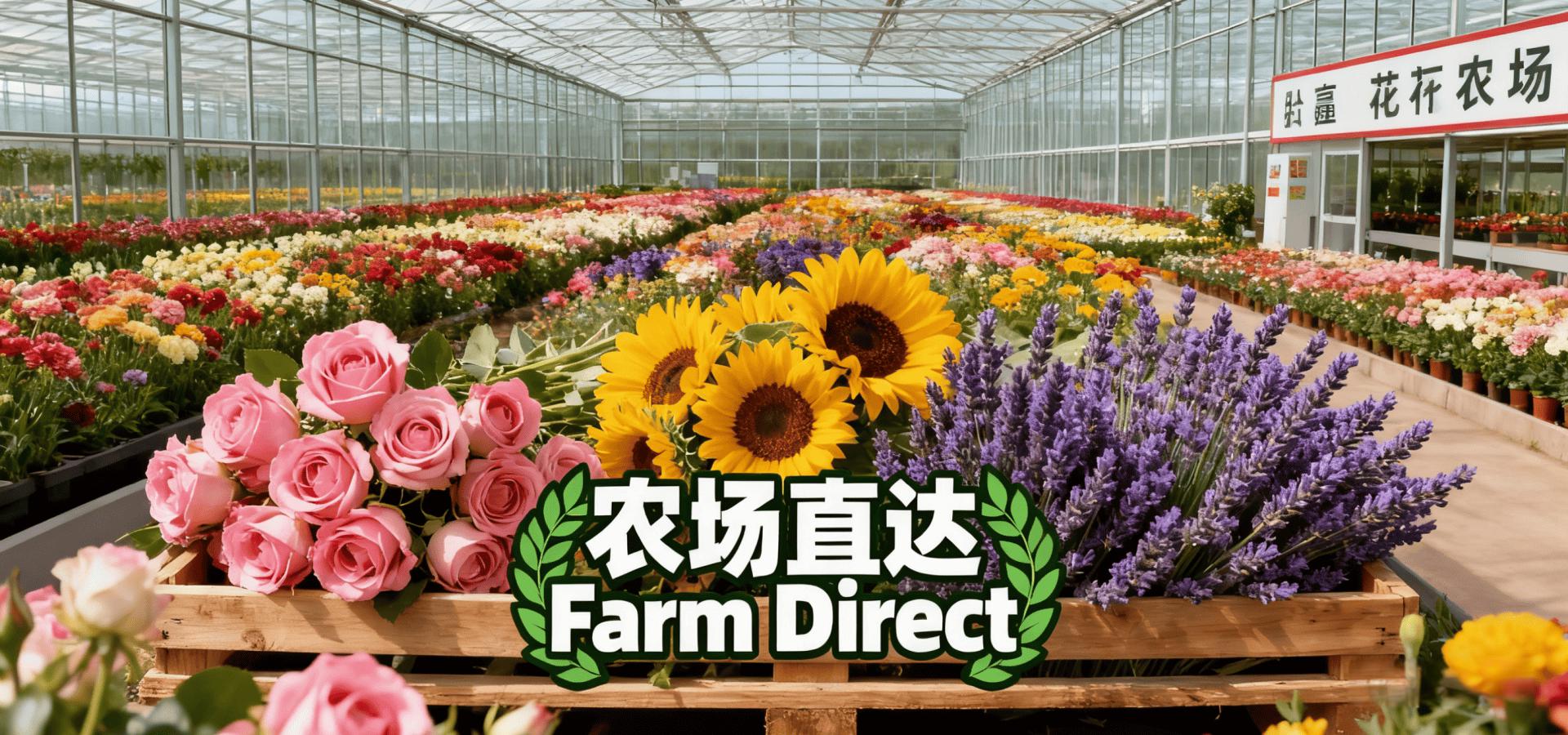 pc首页幻灯2