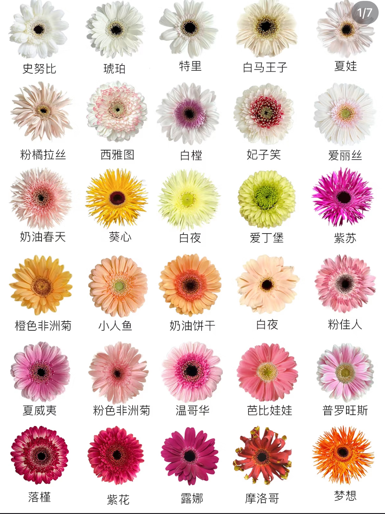 微信图片_20250709041925.jpg